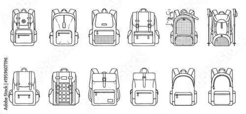 A comprehensive collection of diverse backpack styles for various activities and purposes, suitable for educational materials, product catalogs, or outdoor adventure graphics.