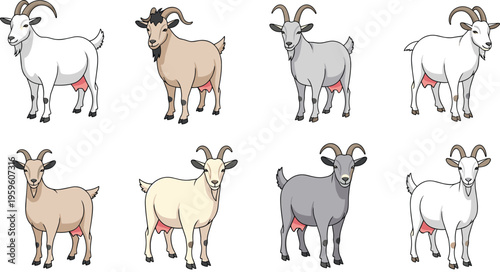 Set of goat illustrations in different poses and color variations, detailed farm animal character collection with horns isolated on white background for agriculture design