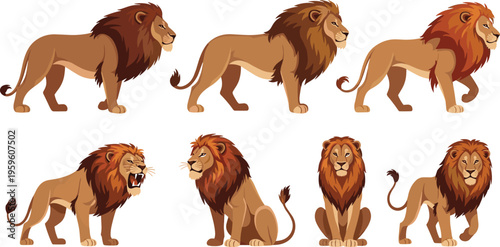 Set of detailed lion illustrations in different poses and angles, realistic wild animal character collection isolated on white background for wildlife design projects