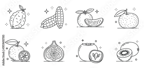 Group of fresh exotic and common fruits with crisp line icons for healthy food blogs grocery store ads and nutrition related applications