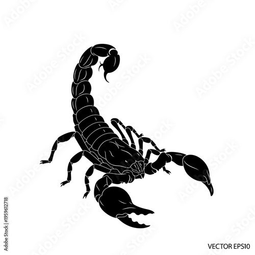 Black Scorpion Silhouette Illustration on White Background.