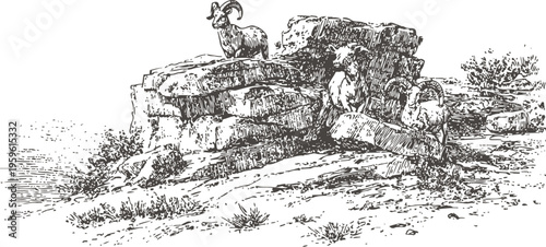 Mountain goats perched on rocky cliff with sparse vegetation in a natural habitat
