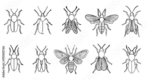 A set of minimalist insect illustrations in a flat design style