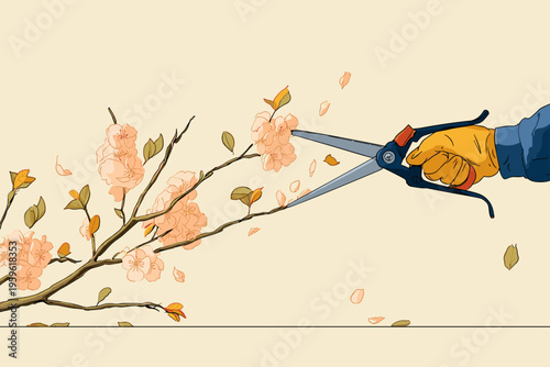 Pruning Shears Trimming Cherry Blossom Branch