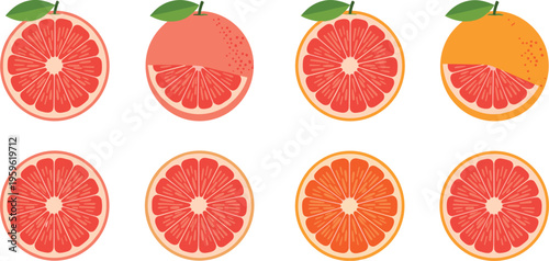 Grapefruit and orange citrus slices collection with fresh juicy segments, colorful food vector illustration for healthy eating, organic nutrition, and summer design