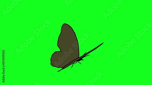 A brown butterfly with its wings spread, captured against a vibrant green screen background, perfect for animation and visual effects