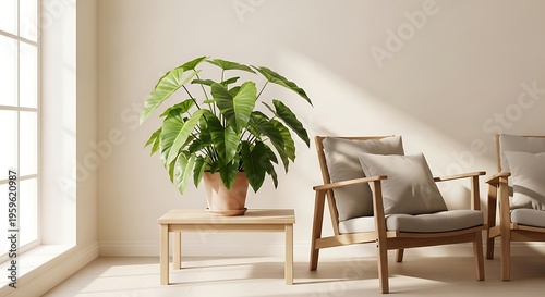 Bright and airy living room with a large potted plant on a wooden side table next to a window, featuring two comfortable armchairs in natural light.