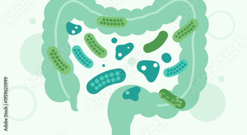 Gut Microbiome: Healthy Bacteria in Human Intestine, Digestive System Microorganisms