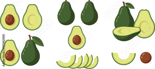 Avocado collection with whole fruits, halves, and slices, fresh healthy food vector illustration for organic diet, vegan nutrition, and tropical design