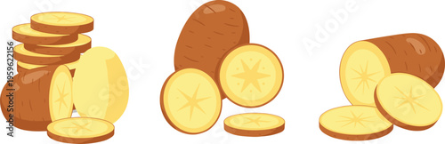 Potato collection with whole tubers and sliced pieces, fresh vegetable food vector illustration for cooking, farming, and organic nutrition design