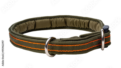 Bilde på lerret Durable olive green dog collar with bright orange stripes, a sturdy silver D-rin