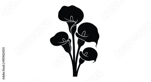 Elegant black silhouette of calla lilies with curved petals and slender stems