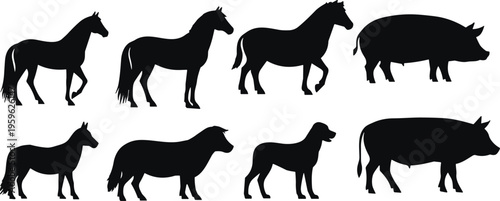 Black silhouette illustrations of domesticated animals including horses, pigs, sheep, and dogs, showcasing distinctive shapes and profiles for educational and design purposes