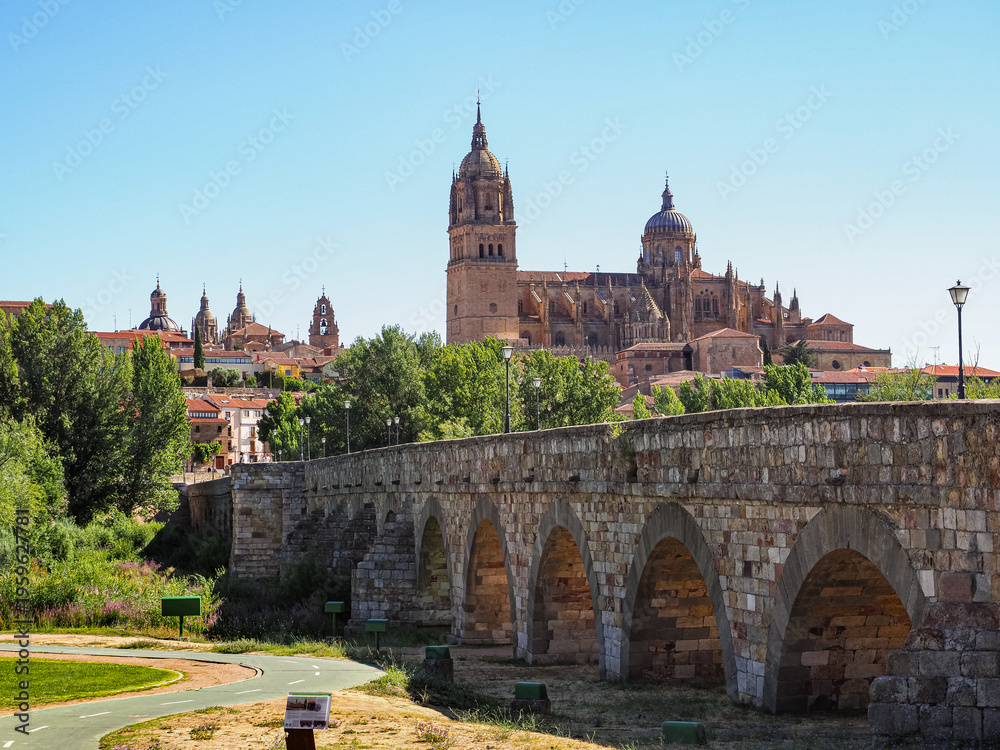 Obraz premium Panoramic view of Salamanca. Roman pedestrian bridge Puente Romano and famous old town with ancient buildings. Impressing old and grand new Cathedral of Salamanca, baroque cupola and tall bell tower.