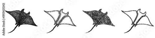 Sketch manta ray icon design set
