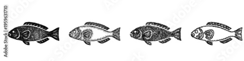 Sketch parrotfish icon design set