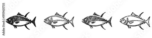 Sketch tuna icon design set