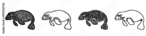 Sketch manatee icon design set