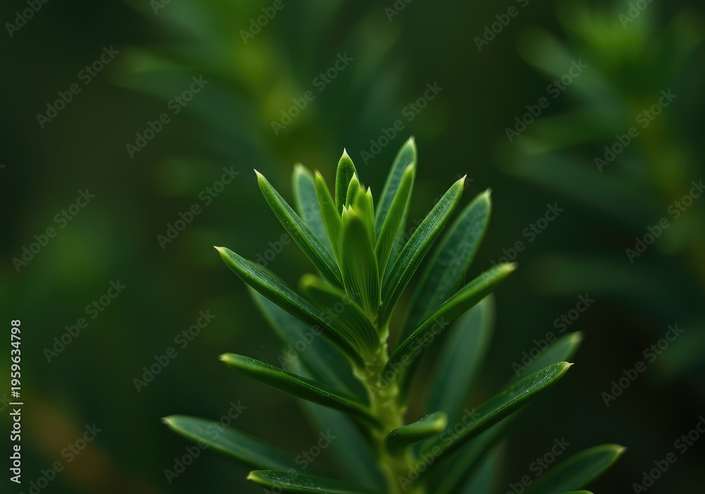 Fototapeta premium Close-up view of vibrant green foliage in sharp focus against a beautifully blurred background emphasizing photographic depth and bokeh, natural light, effect, bokeh