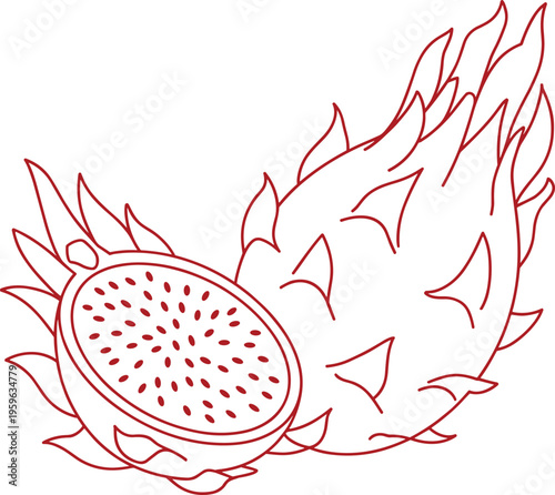 Dragon Fruit Cut Halved Showing Seeds Tropical Exotic Produce Outline Style