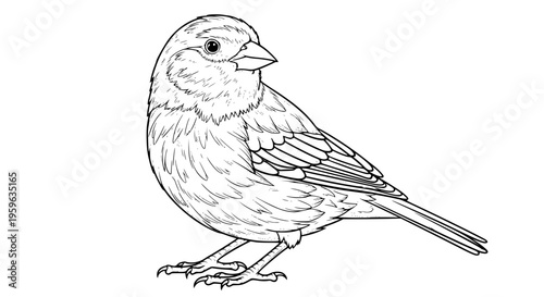 Bright canary bird vector, small pet with vibrant plumage for design projects