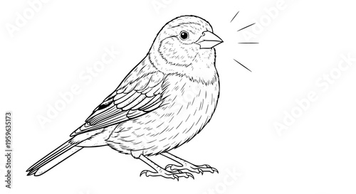 Bright canary bird vector, small pet with vibrant plumage for design projects