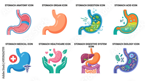A vector illustration of the human stomach anatomy with digestive system and healthcare icons showing various stomach related concepts.