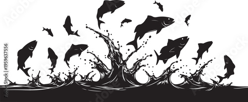 Dolphins jumping out of water in black and white