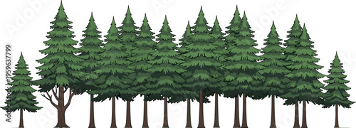 Dense evergreen forest landscape with pine trees collection in natural green tones detailed vector illustration of woodland scenery and conifer tree set