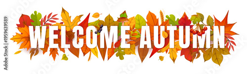 Welcome autumn seasonal banner with autumn fall season leaves. Cartoon vector typography with foliage of maple, oak, birch and rowan berry, mushroom and wheat. Forest holiday decor for celebration