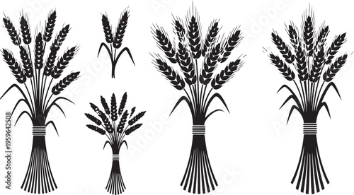 Black and white illustration of wheat bundles and grains