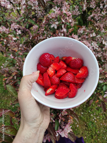 strawberries in a hand