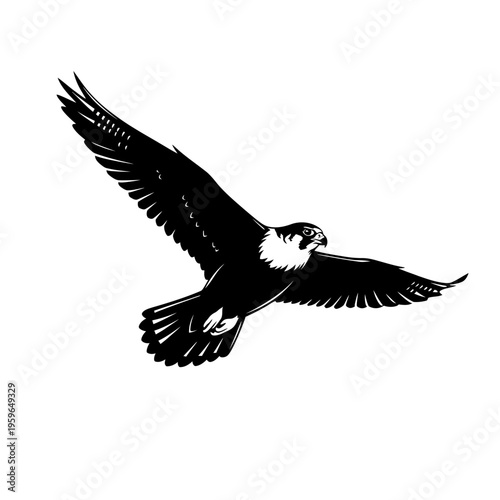 Striking monochrome illustration of a falcon in mid-flight.
