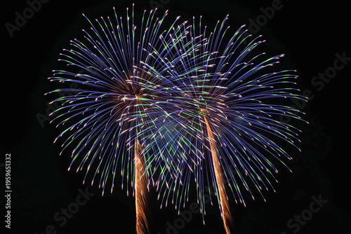 Wallpaper Mural 常総きぬ川花火大会「伊那火工堀内煙火店・日本の花火BESTセレクション」 Torontodigital.ca