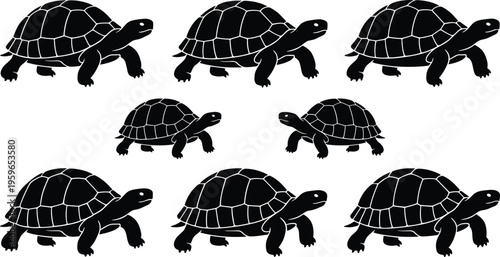 Turtle silhouettes collection reptile animal shells sea tortoise icons black vector illustration set isolated wildlife design
