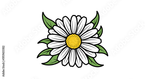 White daisy flower, floral illustration, vector graphic, green leaves