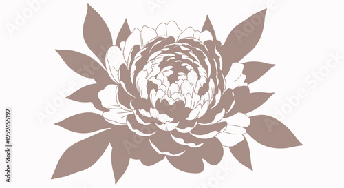 Brown flower, floral illustration, vector graphic, botanical design