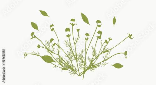 Green plant branches, leafy stems, botanical vector graphics, floral elements