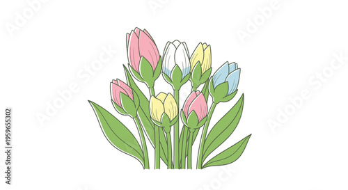 Colorful tulip flowers, floral bouquet, spring blooms, vector illustration