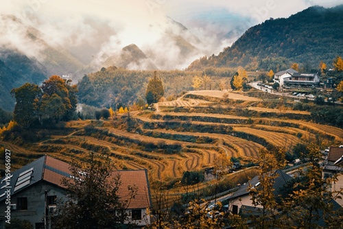 rice terraces in the morning