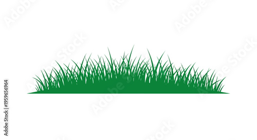 Green Grass Silhouette Isolated on White Background - Nature Border Design Element