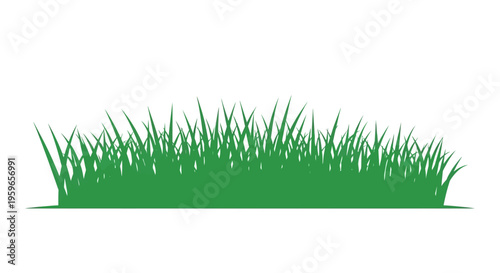 Green grass silhouette isolated on white background, nature and landscape border illustration