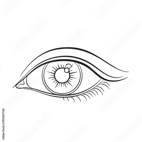 Detailed Female Eye Line Art Illustration, Elegant Makeup or Lash Design
