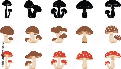 Mushroom vector illustration set, colorful cartoon fungi collection, edible and fantasy mushrooms, flat design icons, botanical clipart, nature graphics