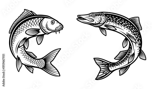 Carp and Pike Fish Emblem Set Fishing Badge Vector Illustration