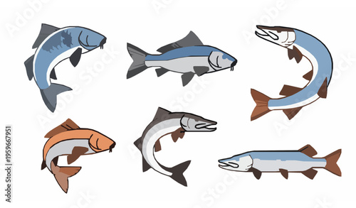 Minimal Carp and Pike Fish Icons Fishing Vector Logo Set