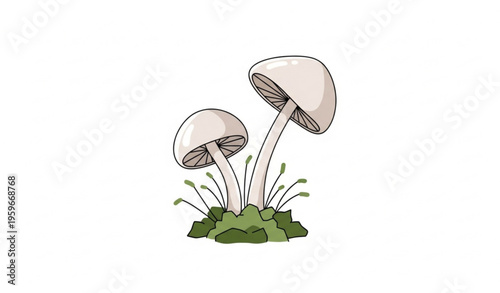 Two Pale Toadstools Growing in Thick Moss Minimal Flat Vector Illustration Isolated on White Background