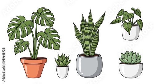 Illustration of various potted plants on a white background with green leaves and pots.