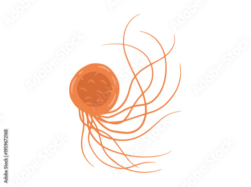 Pyrococcus Furiosus Microorganism