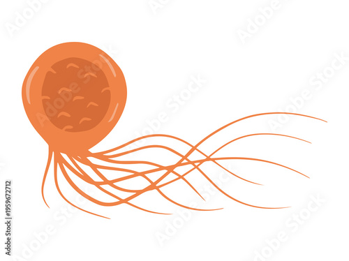 hand Drawn Pyrococcus Furiosus Illustration
